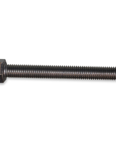 Hexagon head screw M12x100 SST DIN 933